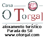 O Torgal