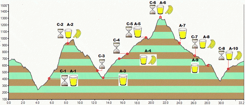 GraficaAvi_g