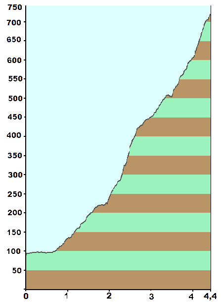 Grafica