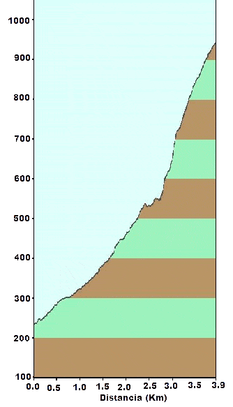 Grafica